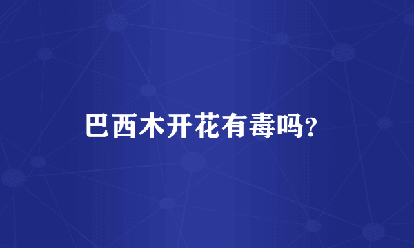 巴西木开花有毒吗？