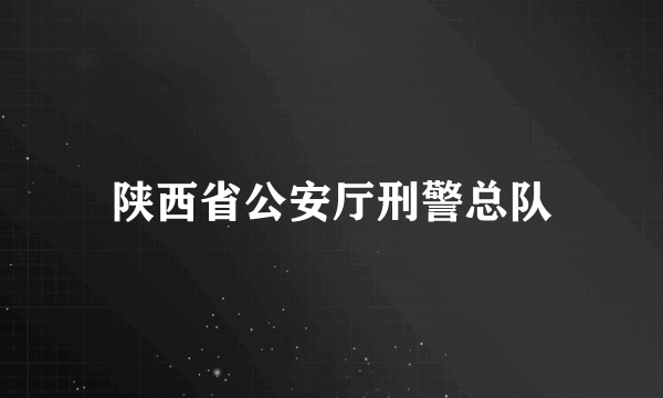 陕西省公安厅刑警总队
