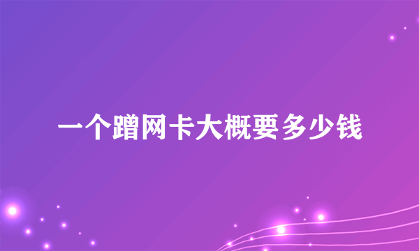 一个蹭网卡大概要多少钱