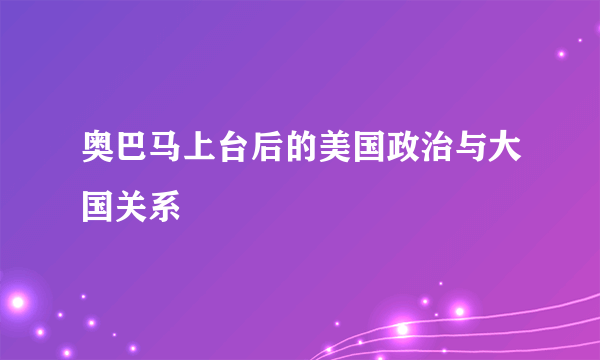 奥巴马上台后的美国政治与大国关系