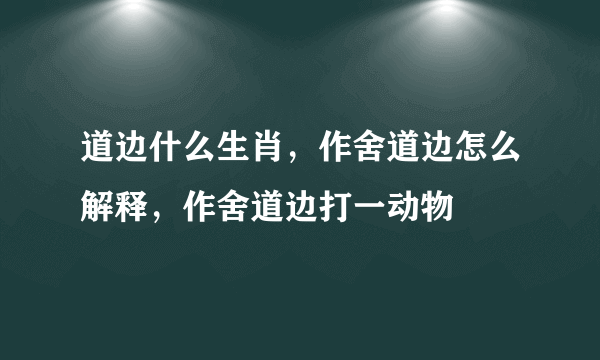 道边什么生肖，作舍道边怎么解释，作舍道边打一动物