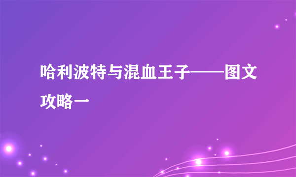 哈利波特与混血王子——图文攻略一