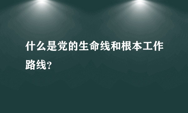 什么是党的生命线和根本工作路线？