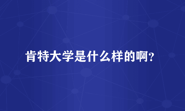 肯特大学是什么样的啊？