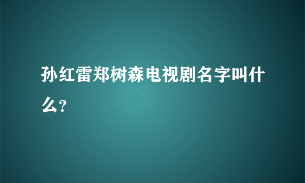 孙红雷郑树森电视剧名字叫什么？
