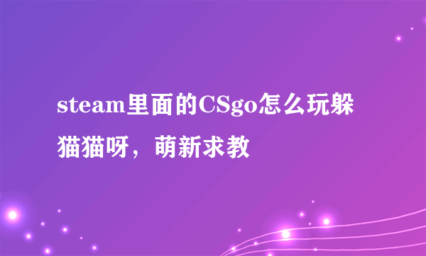 steam里面的CSgo怎么玩躲猫猫呀，萌新求教