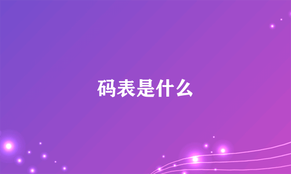 码表是什么