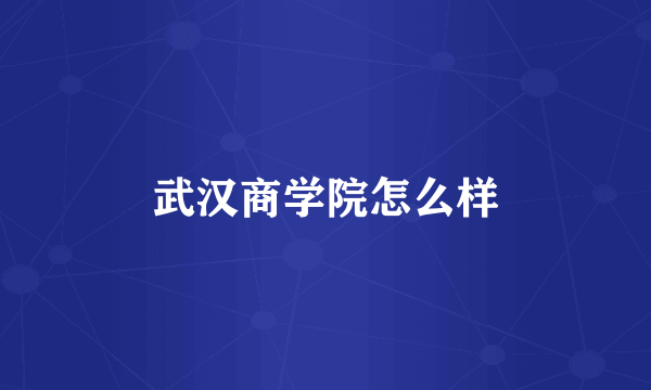 武汉商学院怎么样