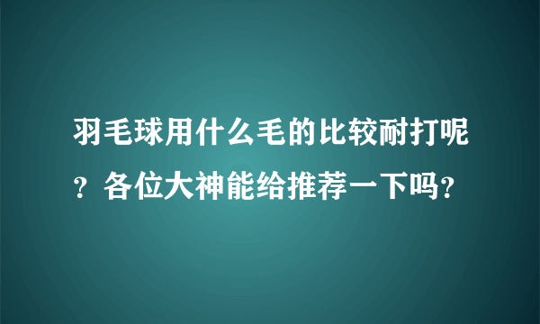 羽毛球用什么毛的比较耐打呢？各位大神能给推荐一下吗？