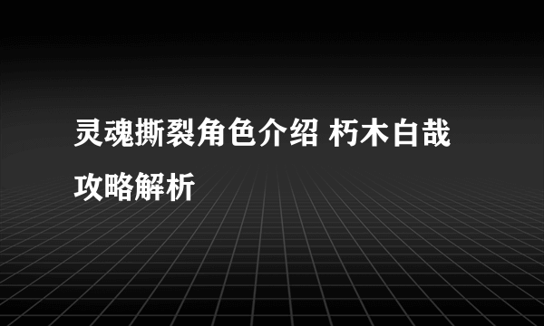 灵魂撕裂角色介绍 朽木白哉攻略解析
