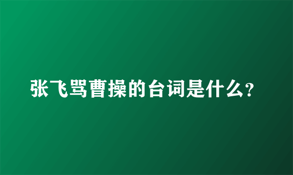 张飞骂曹操的台词是什么？