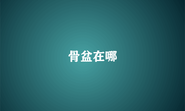 骨盆在哪