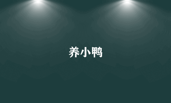 养小鸭