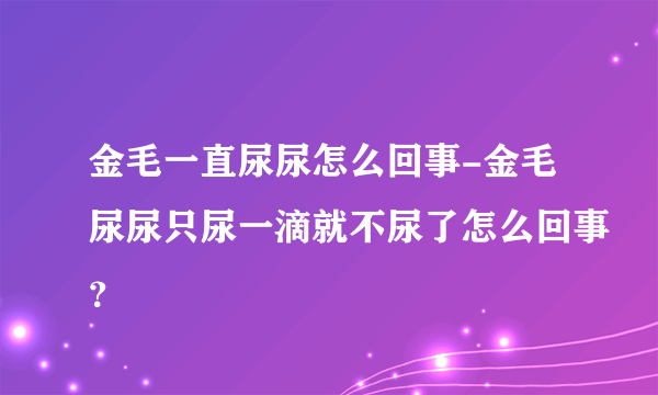 金毛一直尿尿怎么回事-金毛尿尿只尿一滴就不尿了怎么回事？