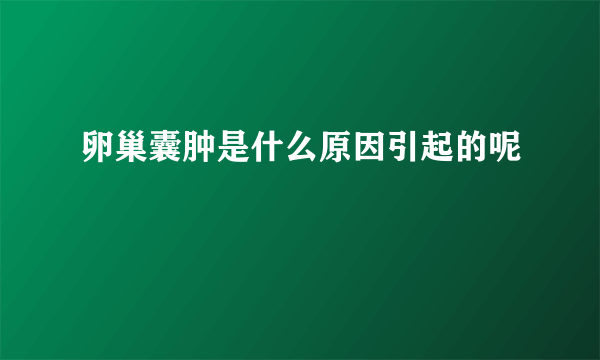 卵巢囊肿是什么原因引起的呢
