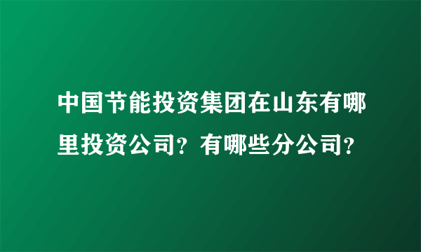 中国节能投资集团在山东有哪里投资公司？有哪些分公司？