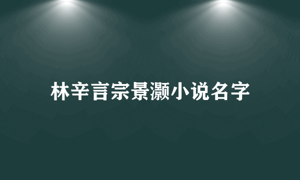 林辛言宗景灏小说名字