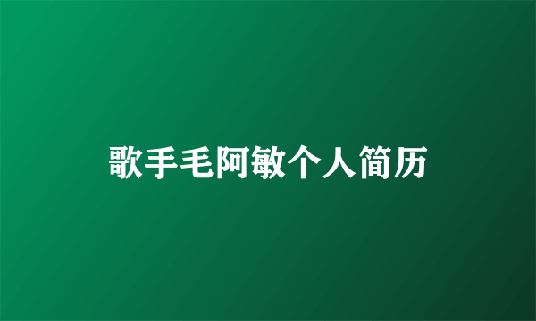 歌手毛阿敏个人简历