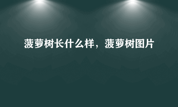 菠萝树长什么样，菠萝树图片