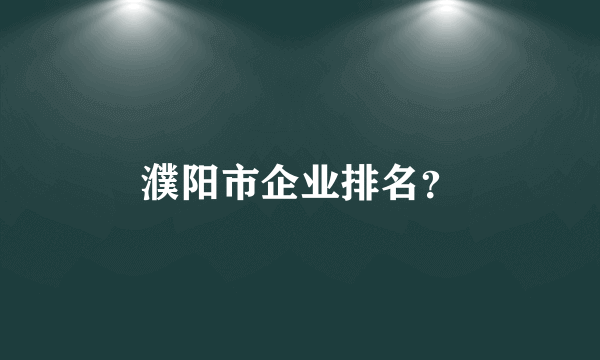 濮阳市企业排名？