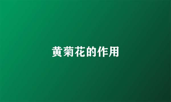 黄菊花的作用