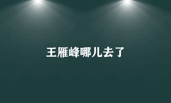 王雁峰哪儿去了