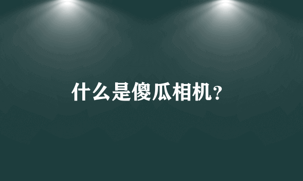 什么是傻瓜相机？