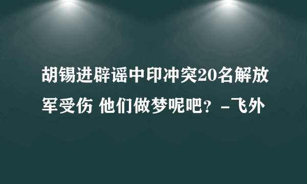 胡锡进辟谣中印冲突20名解放军受伤 他们做梦呢吧？-飞外