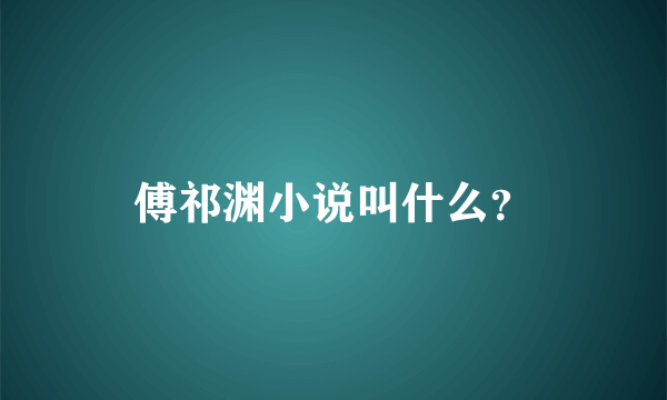 傅祁渊小说叫什么？