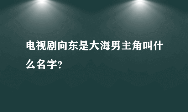 电视剧向东是大海男主角叫什么名字？