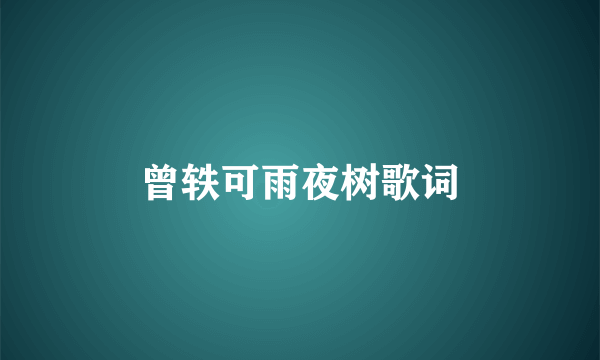 曾轶可雨夜树歌词