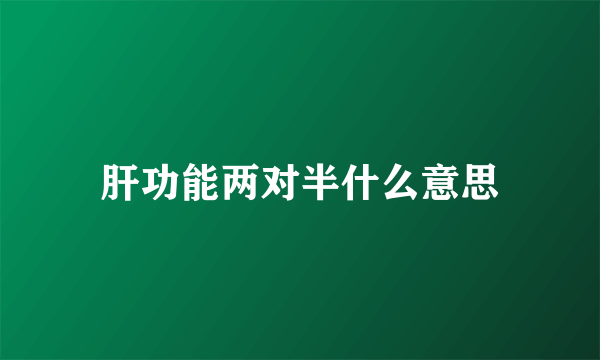肝功能两对半什么意思