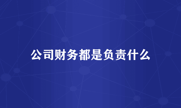 公司财务都是负责什么