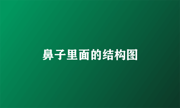 鼻子里面的结构图
