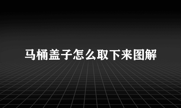 马桶盖子怎么取下来图解