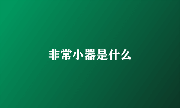 非常小器是什么