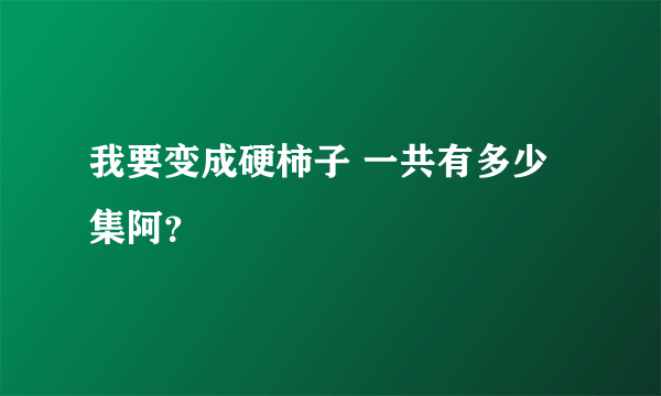 我要变成硬柿子 一共有多少集阿？