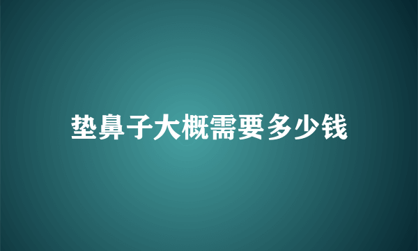 垫鼻子大概需要多少钱