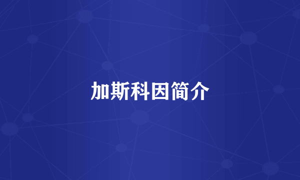 加斯科因简介