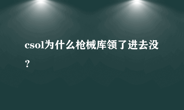 csol为什么枪械库领了进去没？