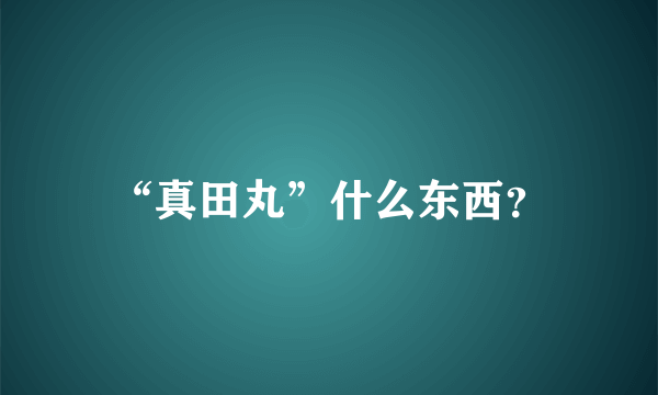 “真田丸”什么东西？