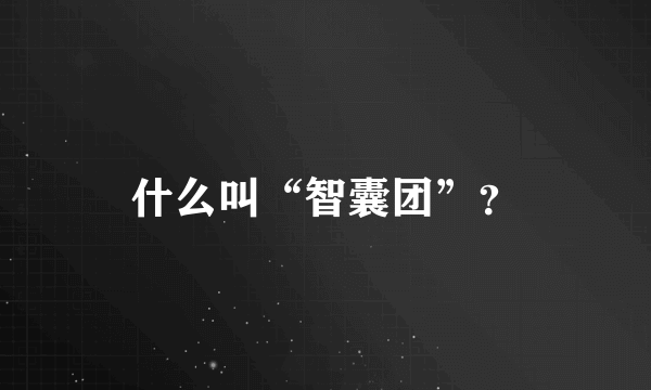 什么叫“智囊团”？