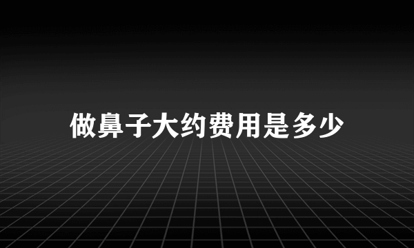 做鼻子大约费用是多少