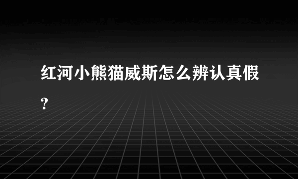 红河小熊猫威斯怎么辨认真假？