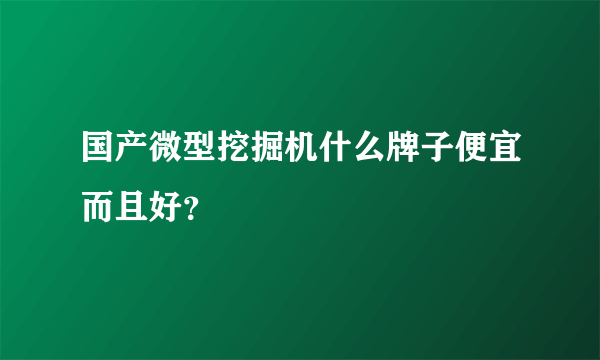 国产微型挖掘机什么牌子便宜而且好？