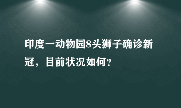 印度一动物园8头狮子确诊新冠，目前状况如何？