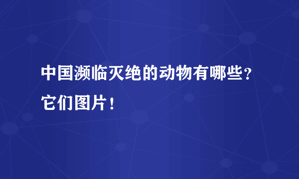 中国濒临灭绝的动物有哪些？它们图片！