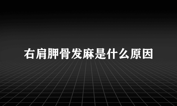 右肩胛骨发麻是什么原因