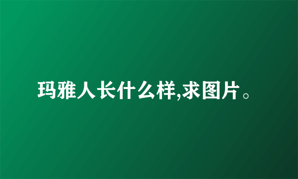 玛雅人长什么样,求图片。