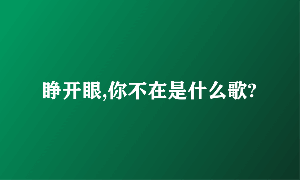 睁开眼,你不在是什么歌?